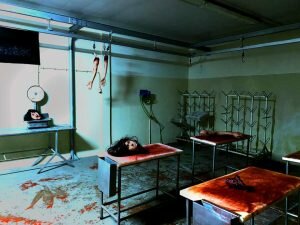 terror matadouro leiria