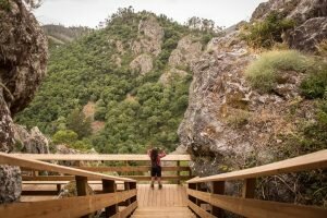 passadiço figueiró dos vinhos
